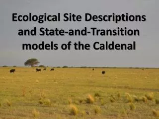 Ecological Site Descriptions and State-and-Transition models of the Caldenal