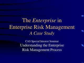 The Enterprise in Enterprise Risk Management A Case Study