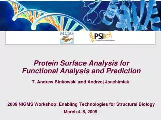 Protein Surface Analysis for Functional Analysis and Prediction