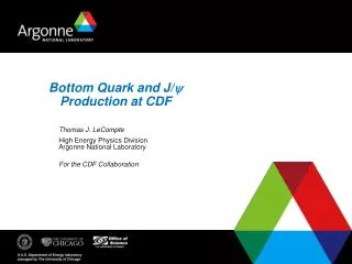 Bottom Quark and J/ y Production at CDF
