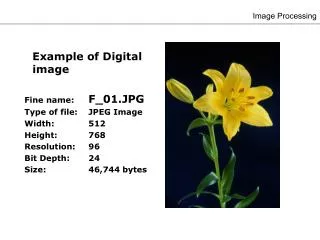 Image Processing