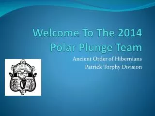 Welcome To The 2014 Polar Plunge Team