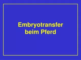 embryotransfer beim pferd