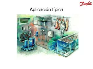 aplicaci n t pica