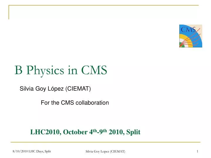 b physics in cms