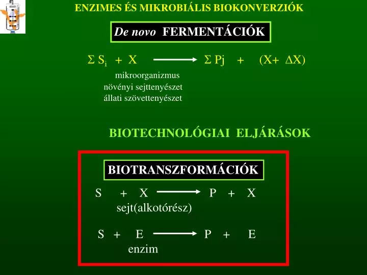 enzimes s mikrobi lis biokonverzi k