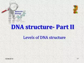 DNA structure- Part II