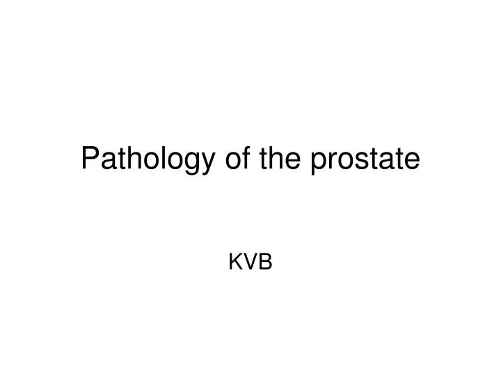 pathology of the prostate