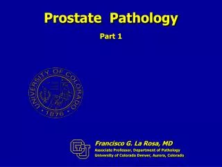 Prostate Pathology Part 1