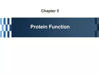 Chapter 5 Protein Function