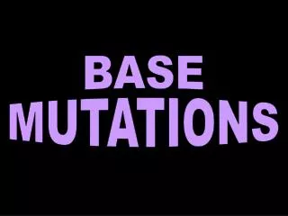 BASE MUTATIONS