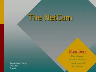 The NetCam