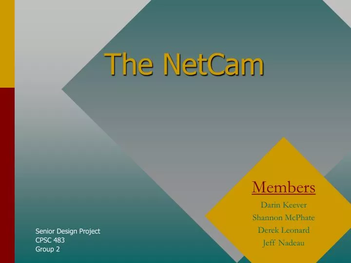 the netcam