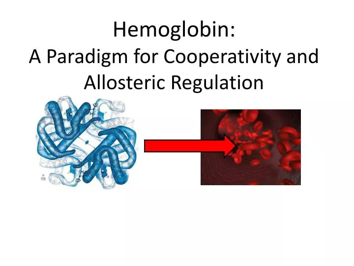 hemoglobin a paradigm for cooperativity and allosteric regulation