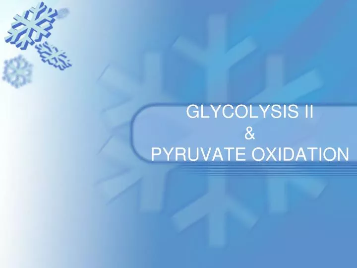 glycolysis ii pyruvate oxidation