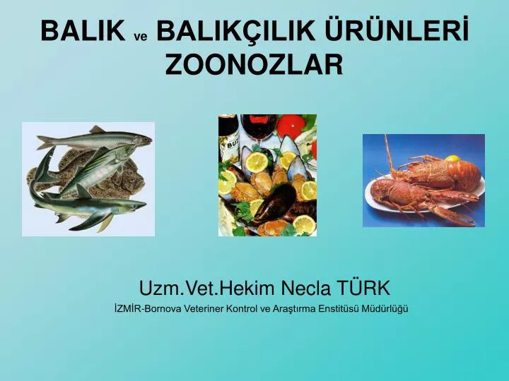 uzm vet hekim necla t rk zm r bornova veteriner kontrol ve ara t rma enstit s m d rl