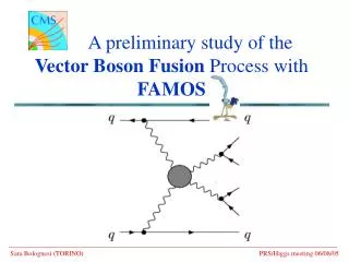 A preliminary study of the Vector Boson Fusion Process with FAMOS