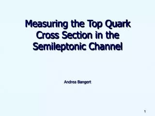 Measuring the Top Quark Cross Section in the Semileptonic Channel