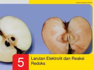 larutan elektrolit dan reaksi redoks