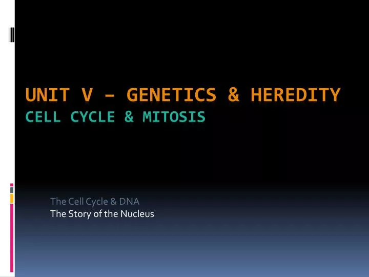 the cell cycle dna the story of the nucleus