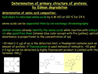 Determination of primary structure of proteins by Edman degradation