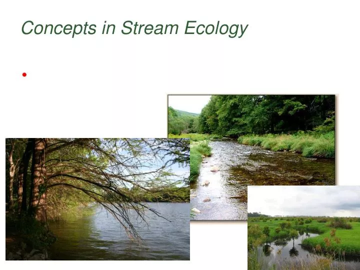 concepts in stream ecology