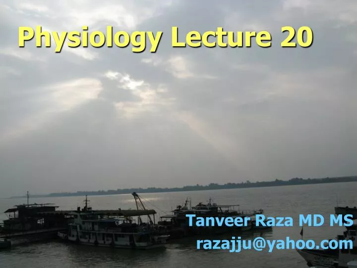 physiology lecture 20