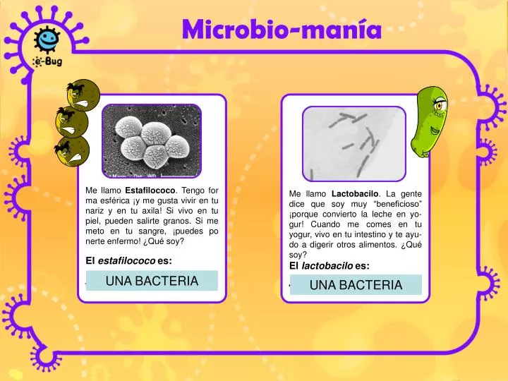 microbio man a