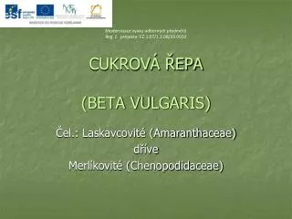 CUKROVÁ ŘEPA (BETA VULGARIS)