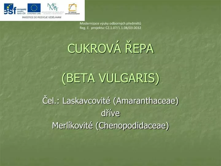 cukrov epa beta vulgaris