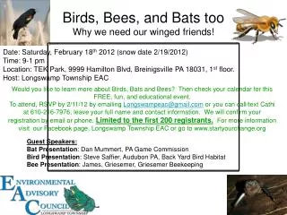 Birds, Bees, and Bats too Why we need our winged friends!