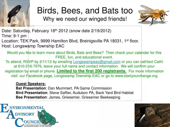 birds bees and bats too why we need our winged friends