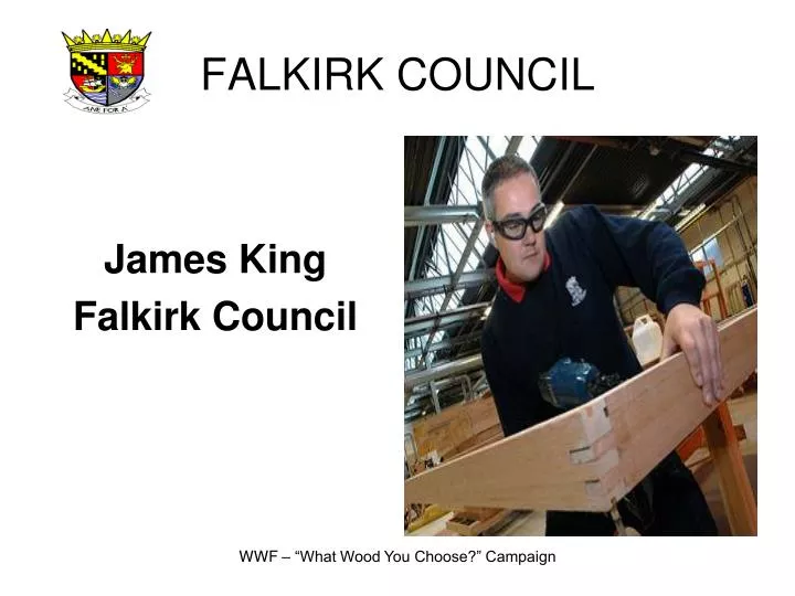 falkirk council
