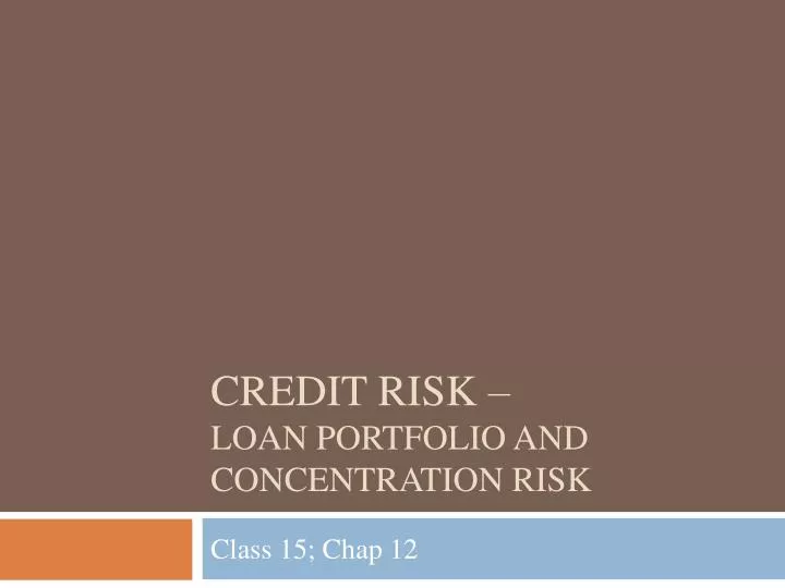 credit risk loan portfolio and concentration risk