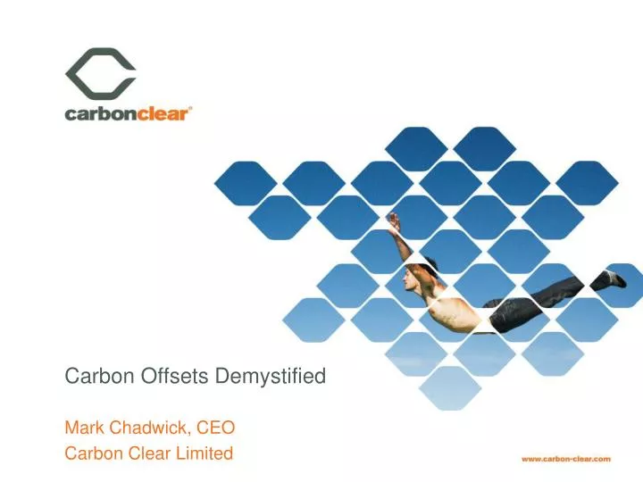 carbon offsets demystified