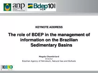 KEYNOTE ADDRESS The role of BDEP in the management of information on the Brazilian