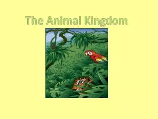 The Animal Kingdom