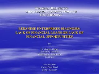 LEBANESE ENTERPRISES DIAGNOSIS: LACK OF FINANCIAL LOANS OR LACK OF FINANCIAL OPPORTUNITIES