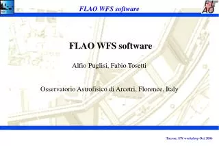 FLAO WFS software