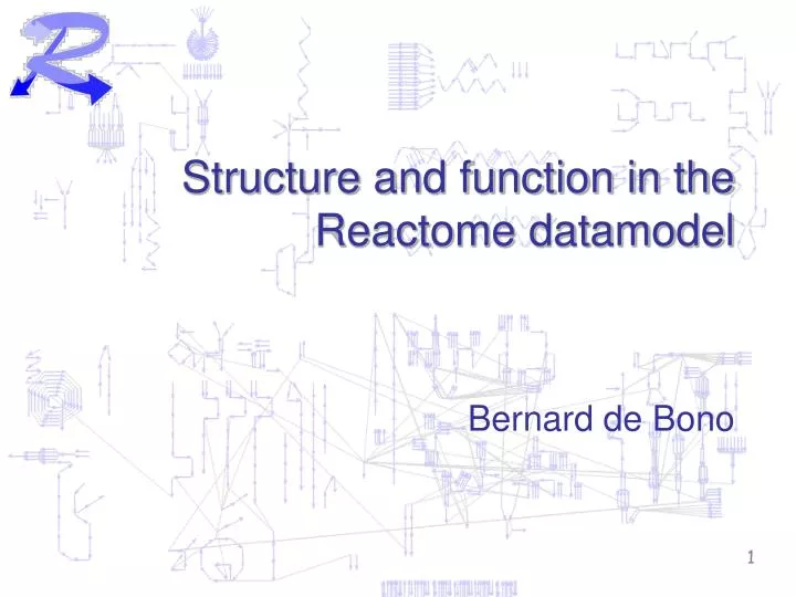 structure and function in the reactome datamodel