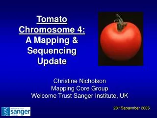 Tomato Chromosome 4: A Mapping &amp; Sequencing Update