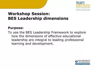 Workshop Session: BES Leadership dimensions