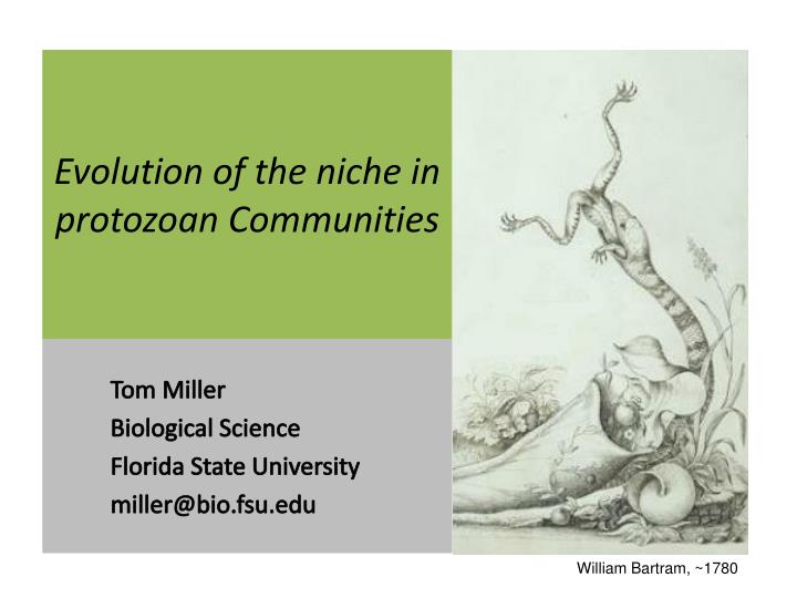 evolution of the niche in protozoan communities