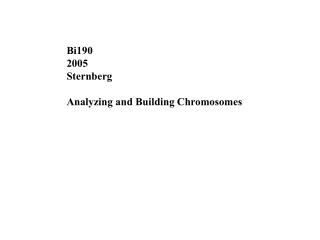 Bi190 2005 Sternberg Analyzing and Building Chromosomes