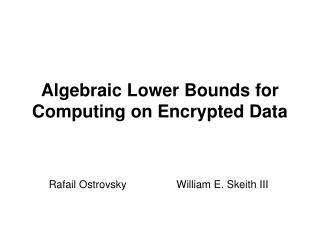 Algebraic Lower Bounds for Computing on Encrypted Data