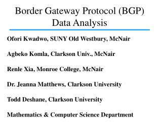 Border Gateway Protocol (BGP) Data Analysis