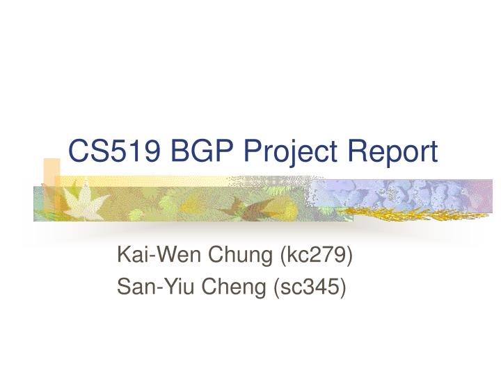 cs519 bgp project report