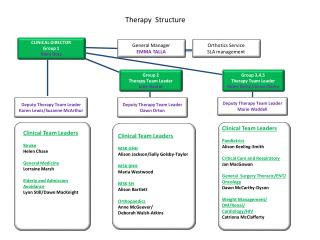 Therapy Structure