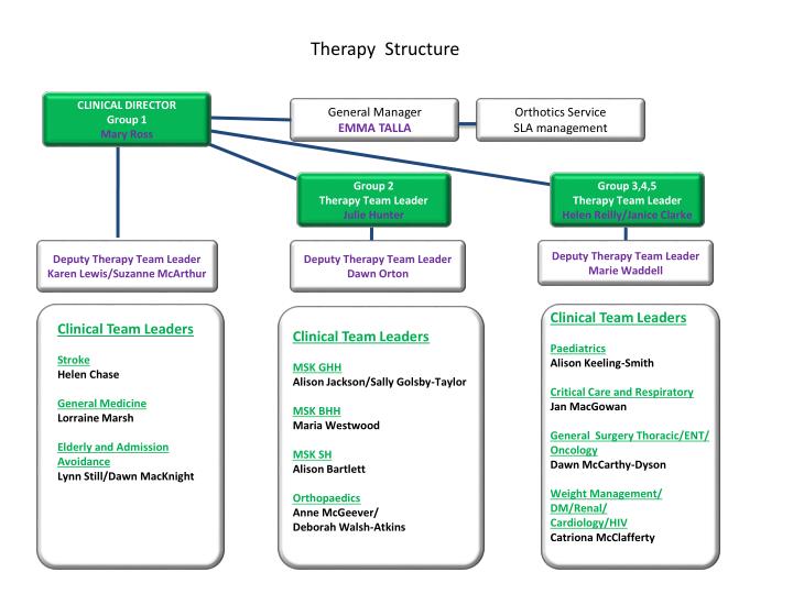 therapy structure