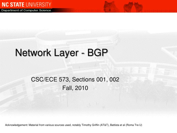 network layer bgp